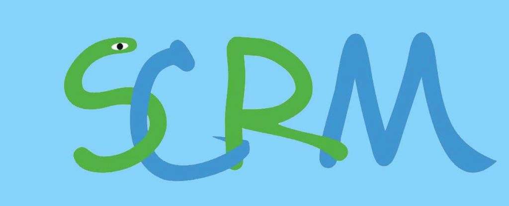 《什么是SaaS級會(huì )員管理系統？大小企業(yè)為何紛紛嘗試？》